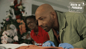 Christmas Sniff GIF by Death In Paradise