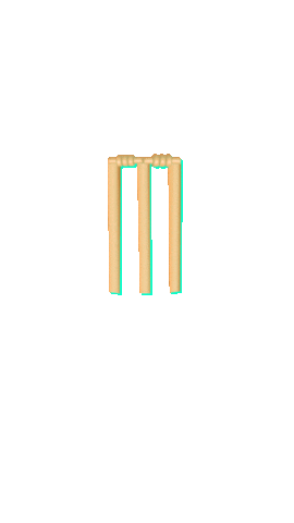 SportEx Sticker