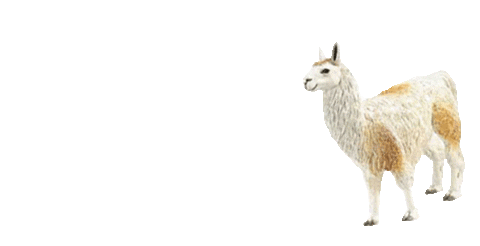 llama animated gif