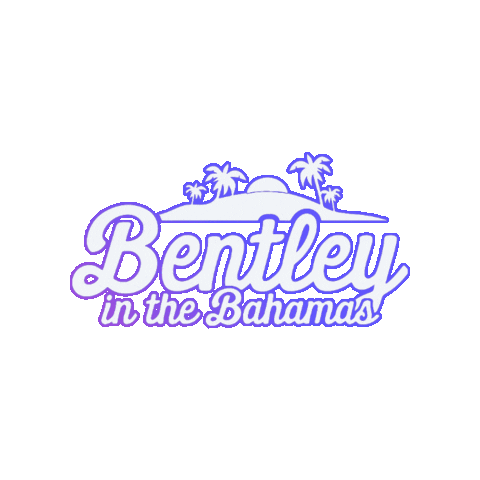 Bentley in the Bahamas GIFs on GIPHY - Be Animated