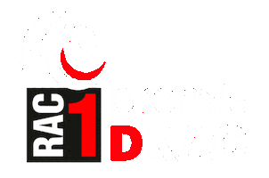 Rac Radiocat Sticker By Bcn GIF