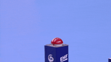 Temps Mort Sport GIF by EHF