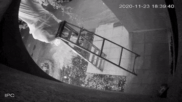 GIF by big3rollup