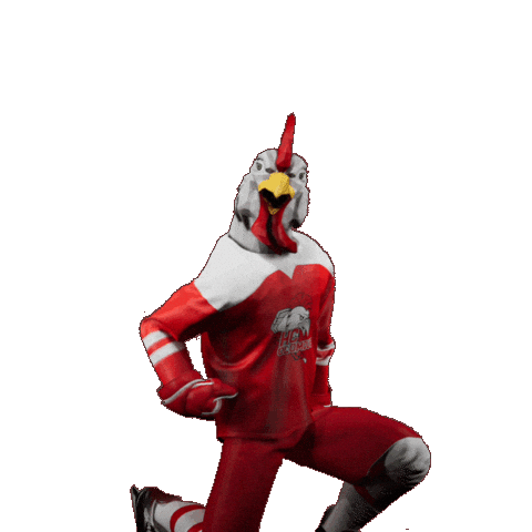 Hockey Hokej Sticker by Tipsport extraliga