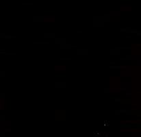 Cat Pain GIF by sillynub