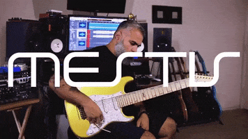 Mestis GIF