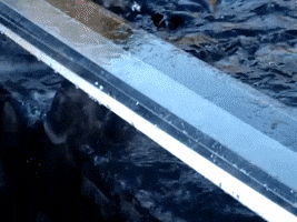Water Wtf GIF by DIIMSA Stock