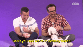 Ryan Reynolds Puppies GIF by BuzzFeed