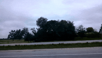 Lowered Car GIF
