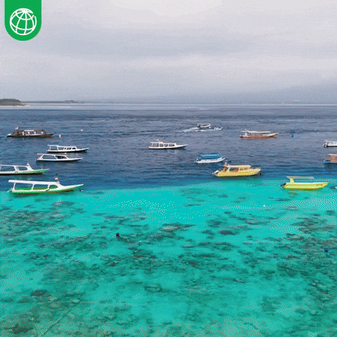 Cultural Heritage Indonesia GIF by World Bank