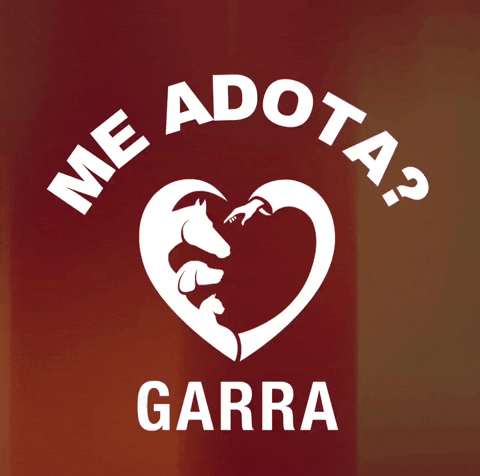 Adote GIF by GARRA
