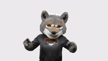 200.gif?cid=fc005b08e3202c6c2d110e6a702eb5e9cc51c806f38aae3e&rid=200.gif&ct=g