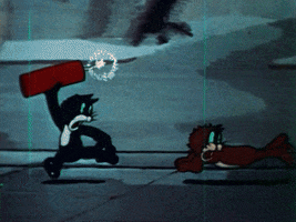 cats hold it GIF by Fandor
