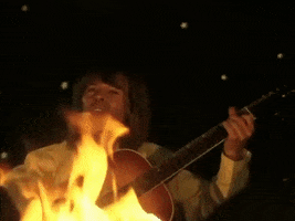 guitar fernando GIF by ABBA