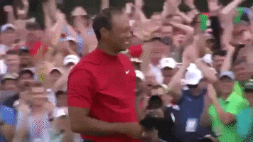 Tiger Woods Sport GIF by Sports GIFs