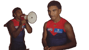 Melbourne Demons Noise Sticker by Melbournefc