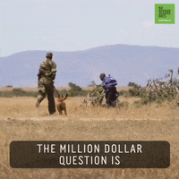 Dollar What GIF by 60 Second Docs