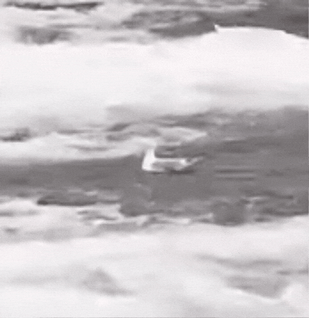 Bird Swimming GIF by bunny_is_moving