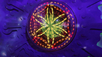 Doobie Nights GIF