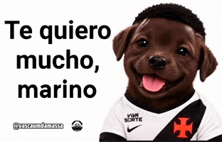 Vascachorro GIF