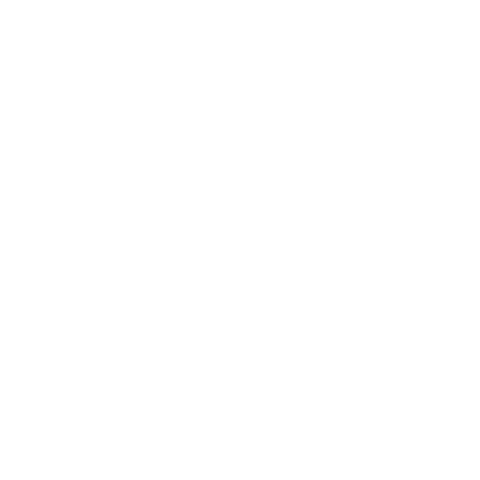 Felyon Metaaltechniek Sticker