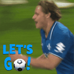 Sv Darmstadt 98 Bundesliga GIF