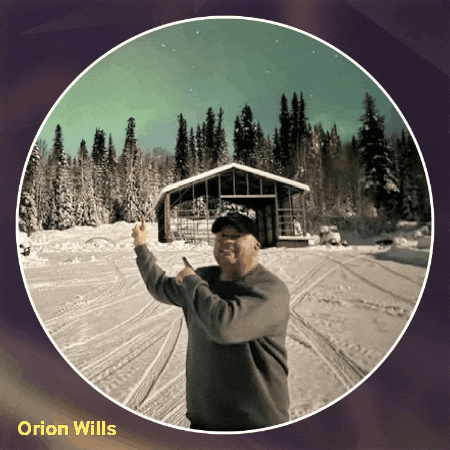 Orion Wills GIF