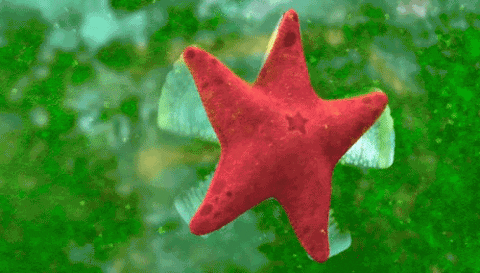 Starfish <a href="/u/style" class="transition linked-keyword" target="_blank">style</a>...