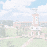 Green And Gold GIF by Norfolk State University