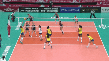 Argentina Point GIF by Volleyball World