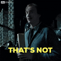 It Cant Be Harry Potter GIF by Sky