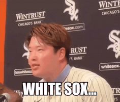 White Sox Chicago GIF