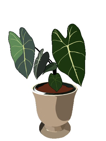 Plant Sticker
