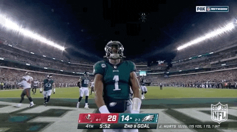Philadelphia Eagles Football GIF by NFL - Find & Share on GIPHY