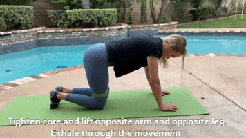 Pregnancy GIF
