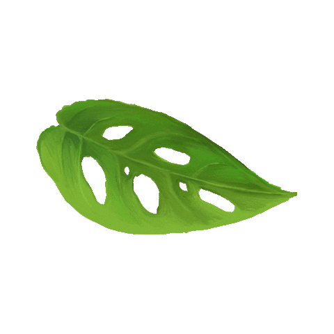 Hooked on Houseplants Sticker