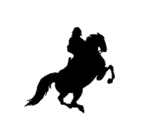 Filmfest Dresden Sticker