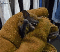 200.gif