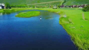 NicoleB GIF