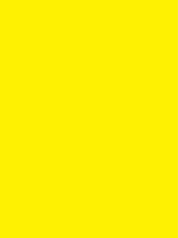 Dog Food Cat GIF by Artsa Israel