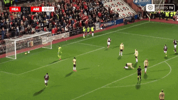 In Your Face Deal With It GIF by Heart of Midlothian