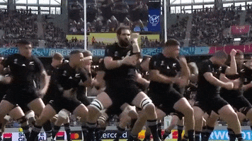 New Zealand Sport GIF by Rugby World Cup
