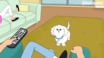 Season 1 Dog GIF by Rick and Morty