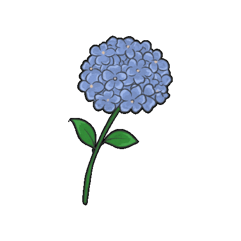 Flower 꽃 Sticker