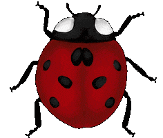 Bug Sticker