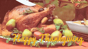 Holiday Thanksgiving GIF