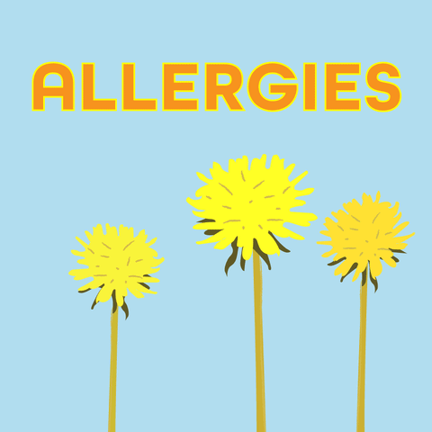 Waarvoor ben jij allergisch