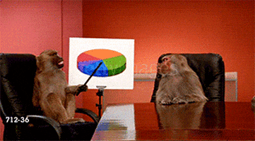 Image result for monkey pushing laptop gif