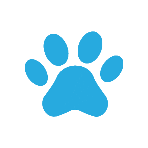 schlummerlicht24.de Sticker