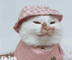 Looking At You Reaction GIF by TikTok